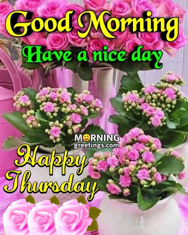 Good Morning Happy Thursday Flowers