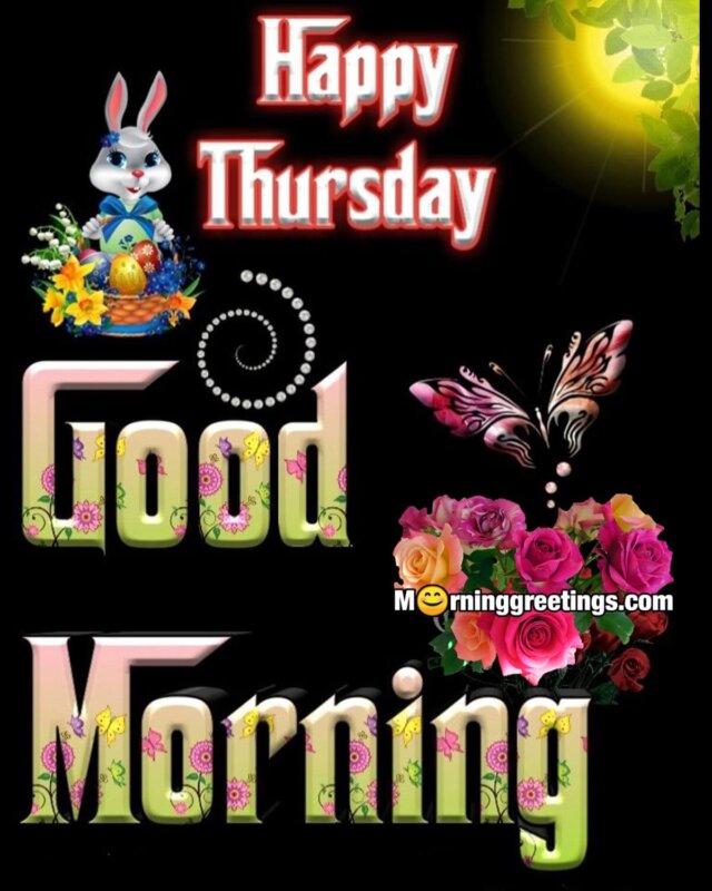 Good Morning Happy Thurssday Bunny