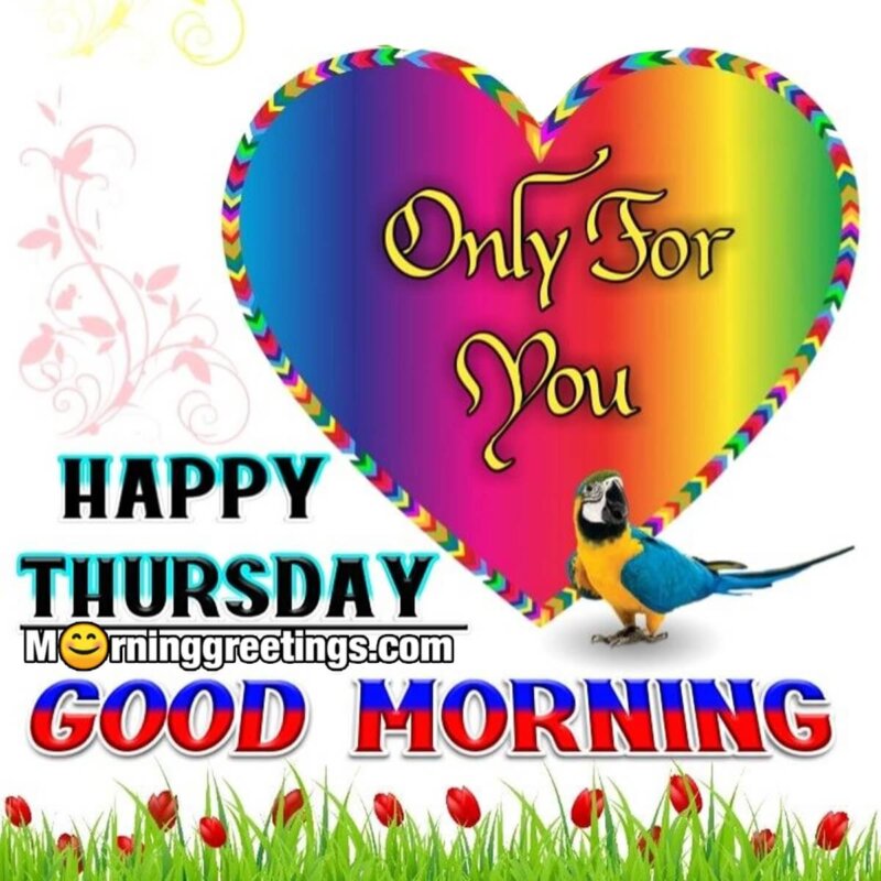 Good Morning Happy Thurssday Only For You