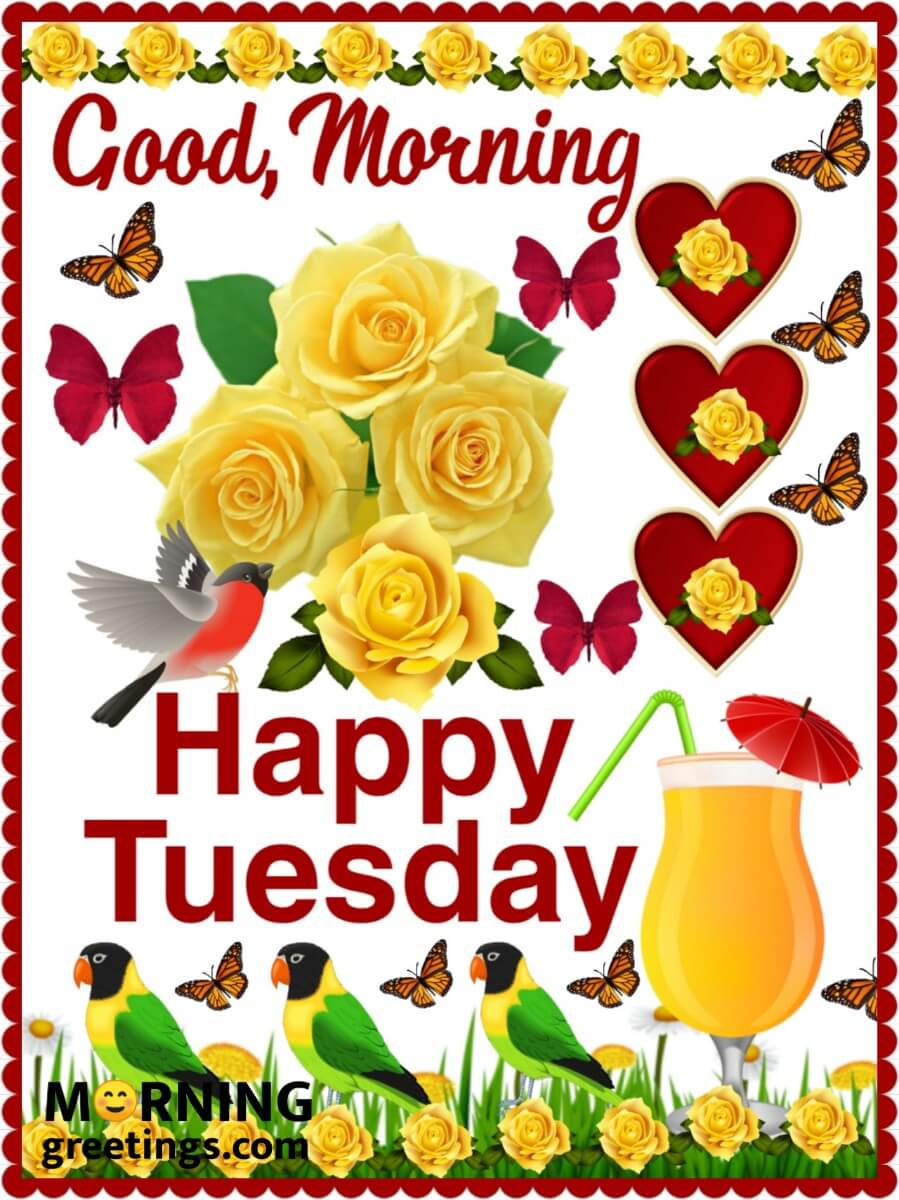 Good Morning Happy Tuesday Greeting