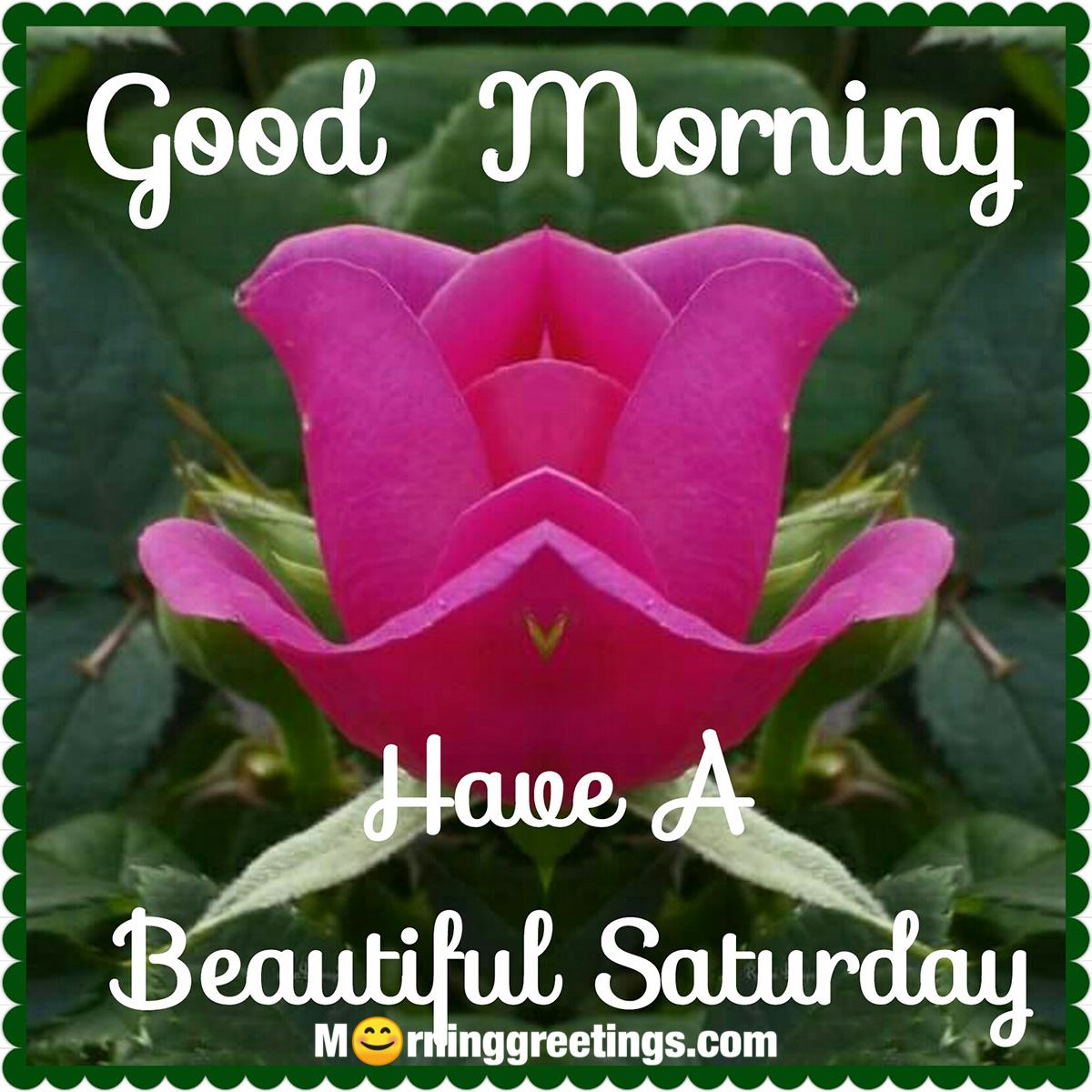 Good Morning Have A Beautiful Saturday
