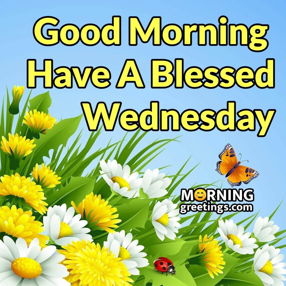 Happy Wednesday Have A Beautiful Blessed Day Happy Wednesday Happy | My ...