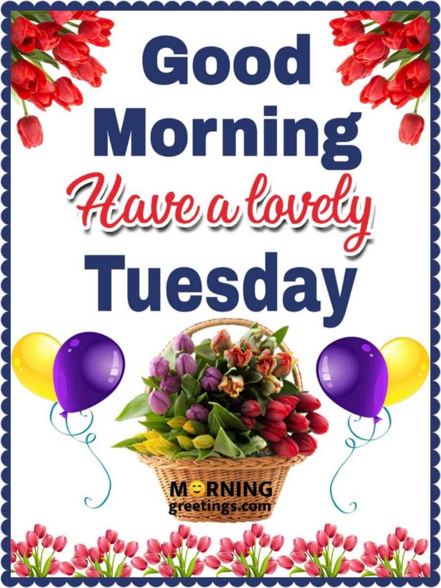 Good Morning Have A Lovely Tuesday
