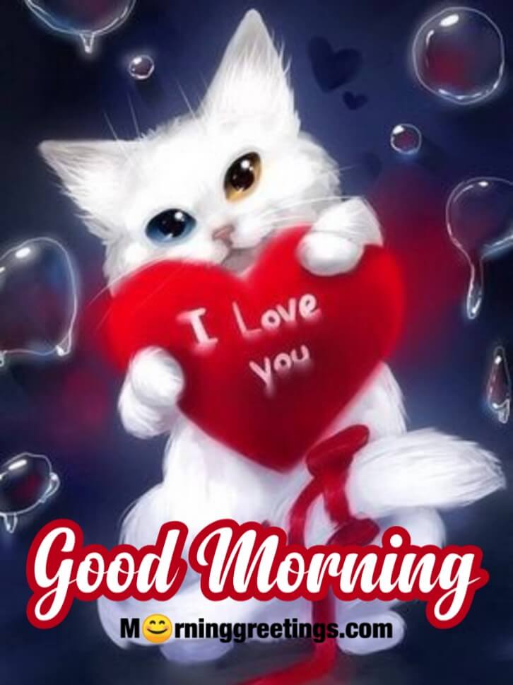 Good Morning I Love You Card
