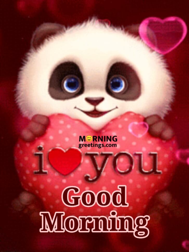 Good Morning I Love You Photo