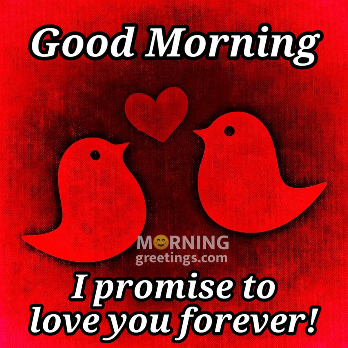 Good Morning I Promise To Love You