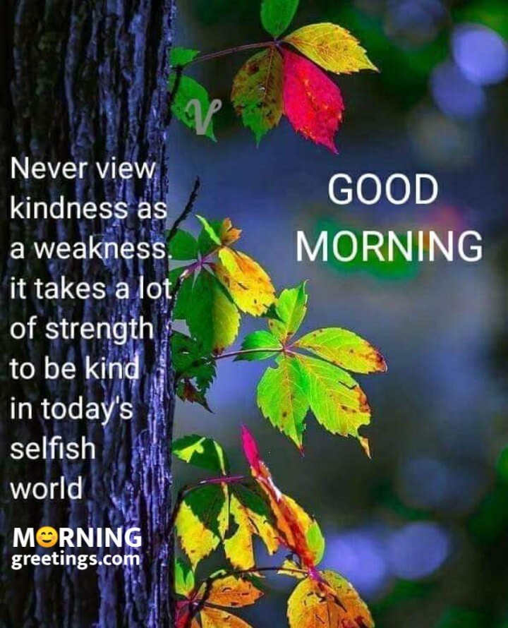Good Morning Never Quote Card