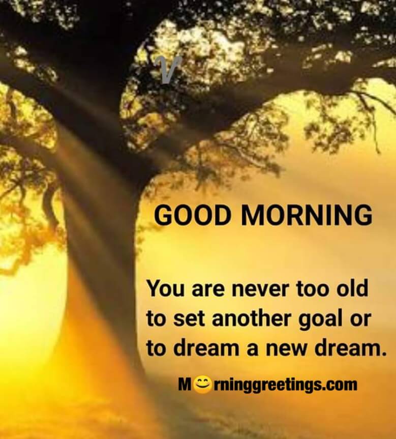 Good Morning Never Quote On Goal