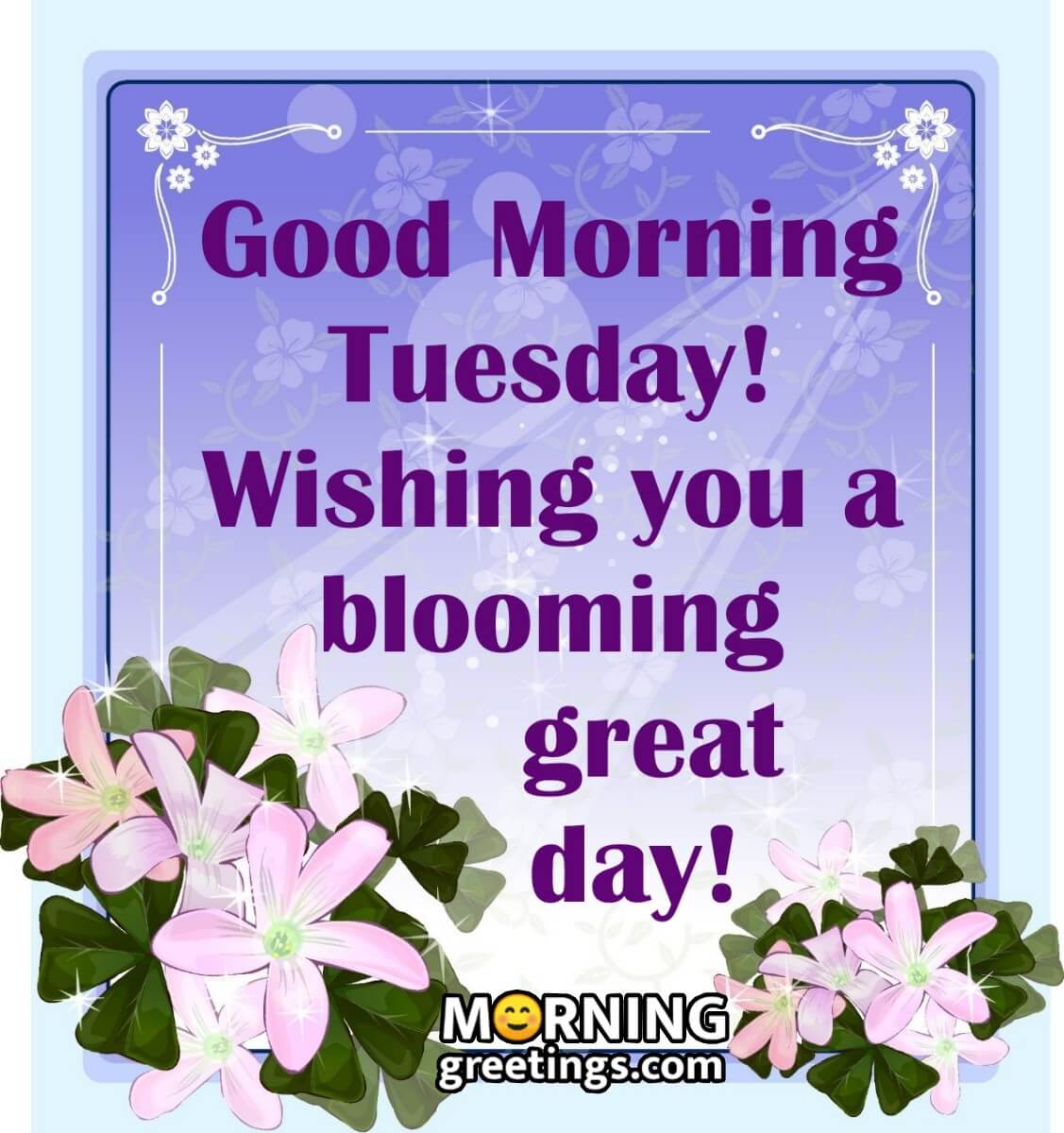 Good Morning Tuesday! Wishing You A Blooming Great Day!