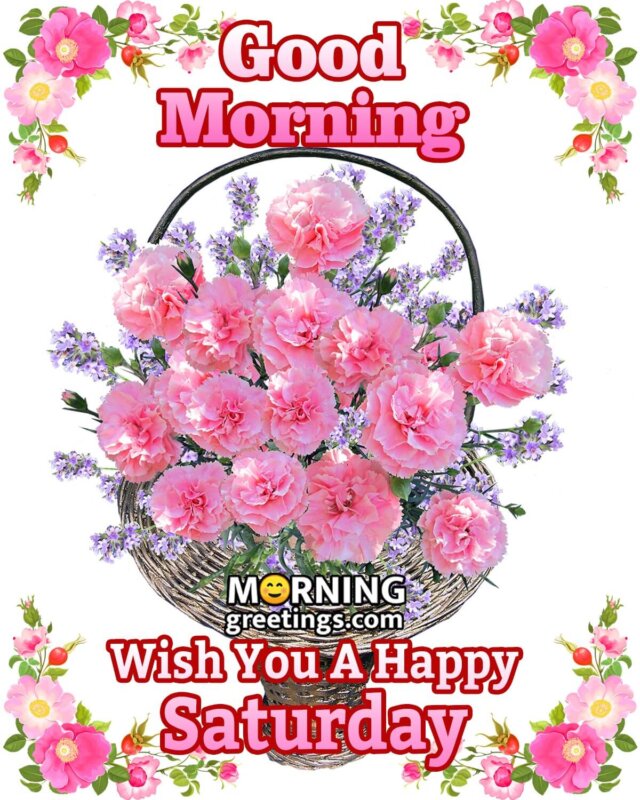 50 Good Morning Happy Saturday Images Morning Greetings Morning Quotes And Wishes Images