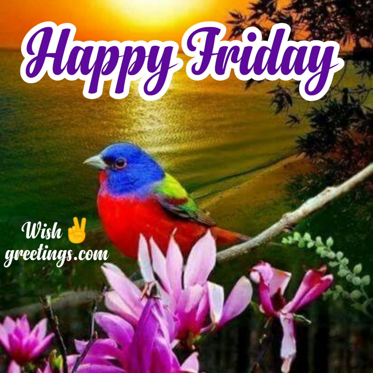 50 Fantastic Friday Quotes Wishes Pics Morning Greetings Morning Quotes And Wishes Images