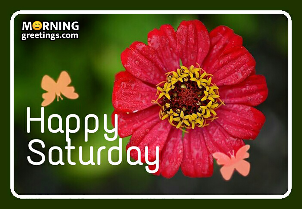 Happy Saturday Flower Pic