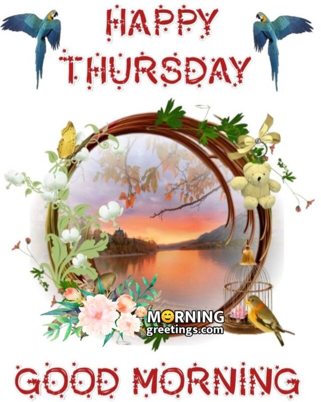 Happy Thursday Good Morning Pic