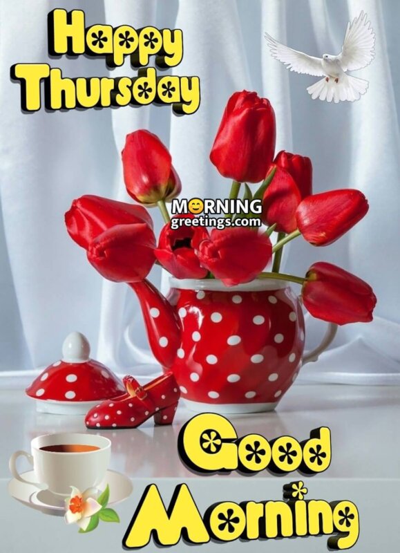 Happy Thursday Good Morning Red Tulips