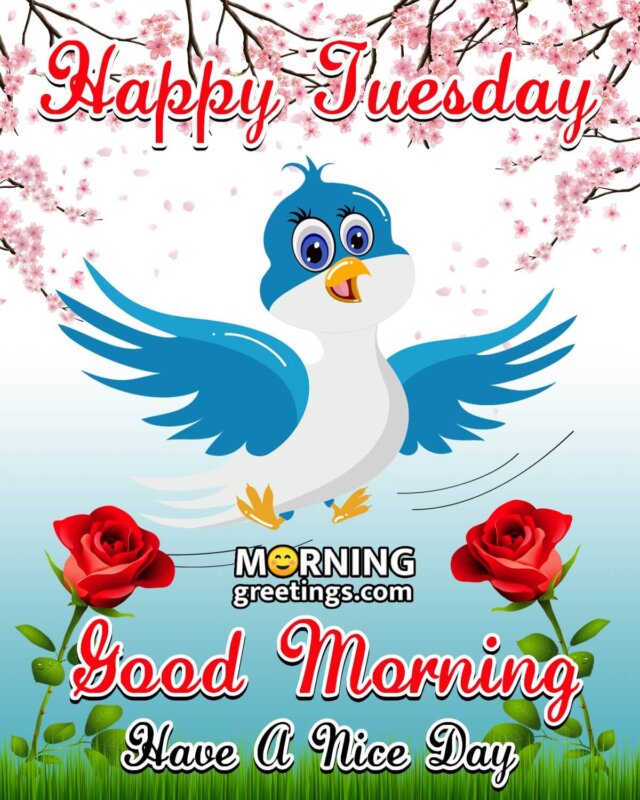 50 Good Morning Happy Tuesday Images - Morning Greetings – Morning ...