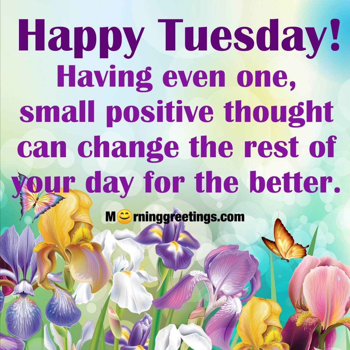 Happy Tuesday! Small Positive Thought