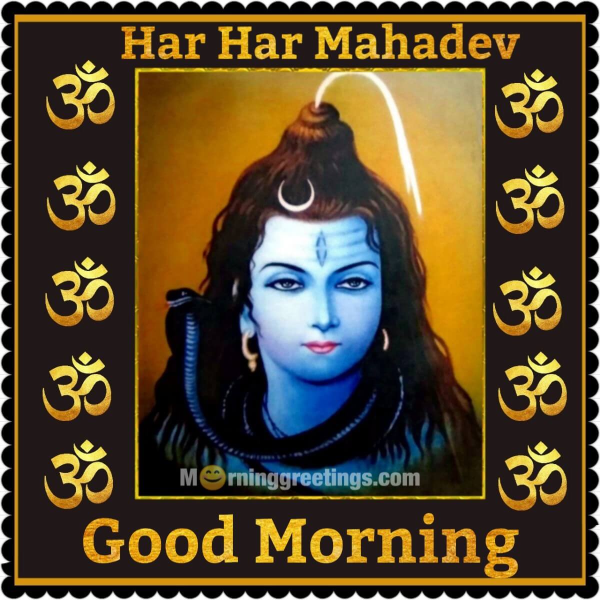 50 Good Morning Shiva Pics Morning Greetings Morning Wishes