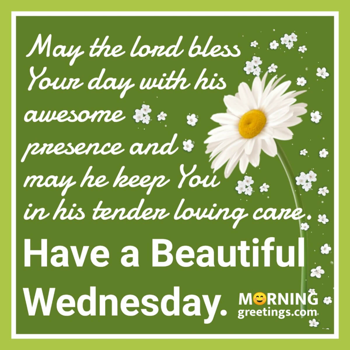 Have A Beautiful Wednesday