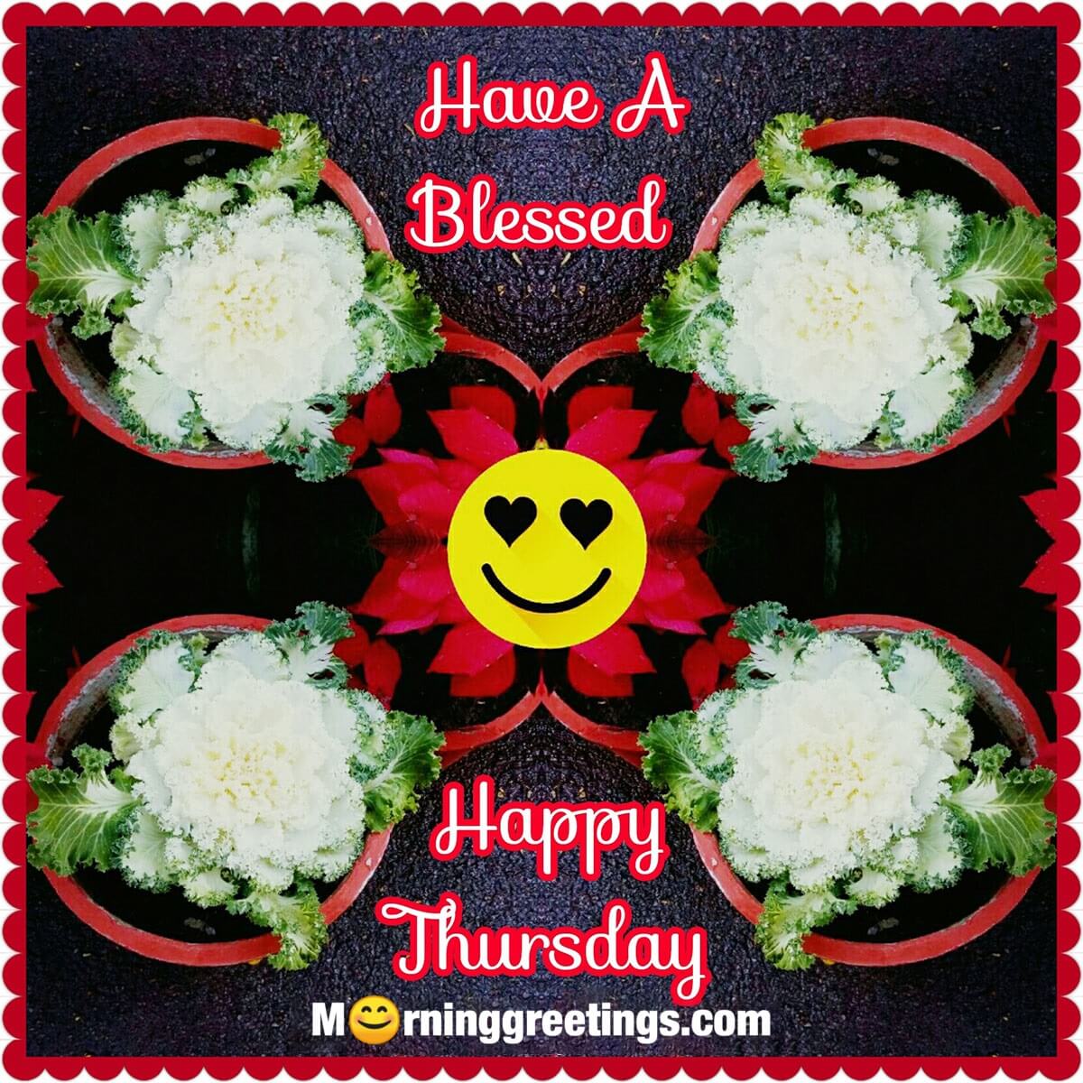 Have A Blessed Happy Thursday