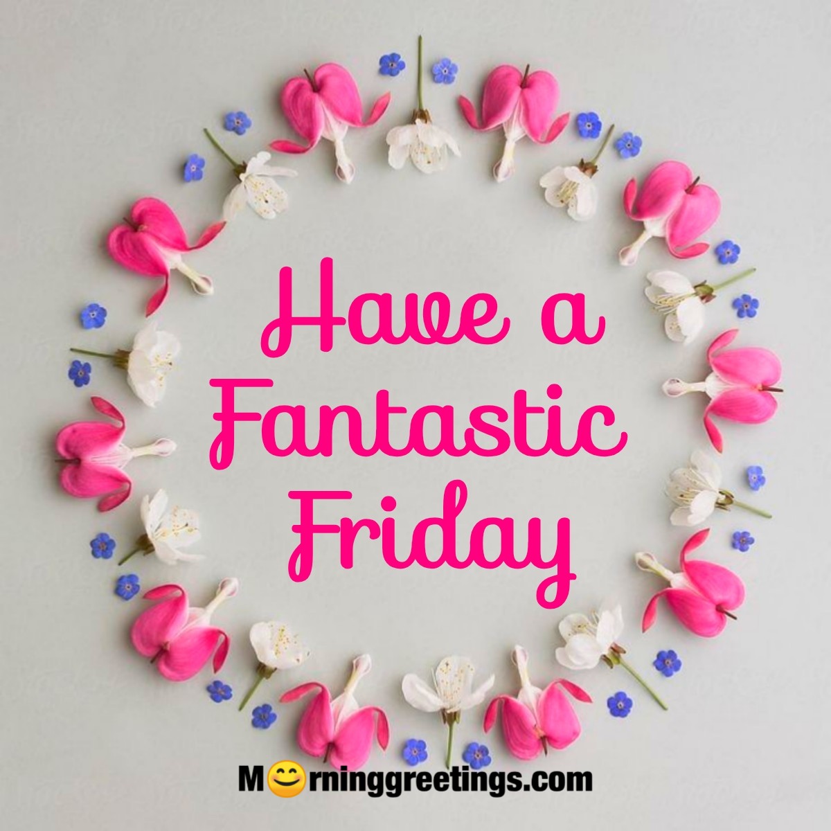 Have A Fantastic Friday