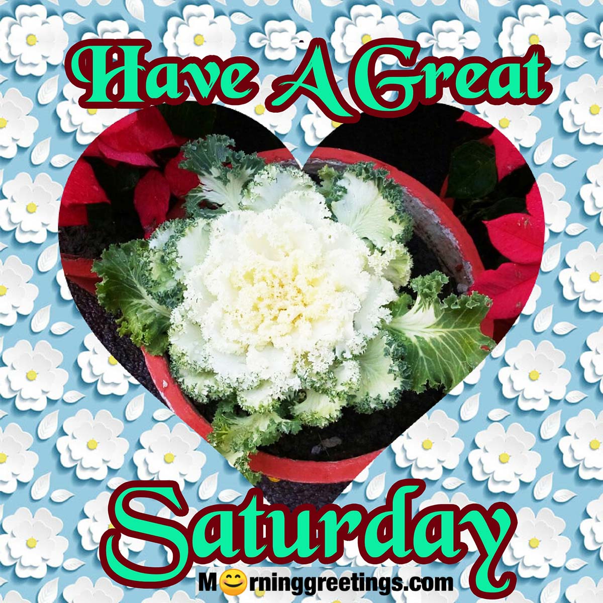 Have A Great Saturday
