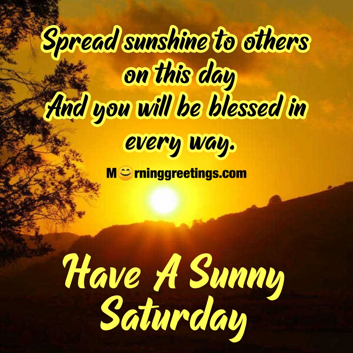 Have A Sunny Saturday