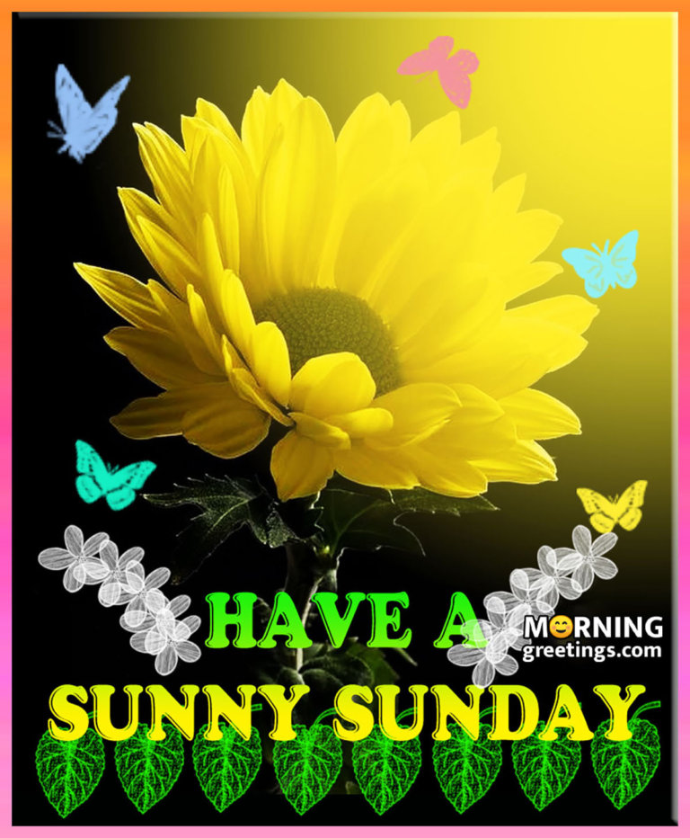 50 Best Sunday Morning Quotes Wishes Pics Morning Greetings Morning