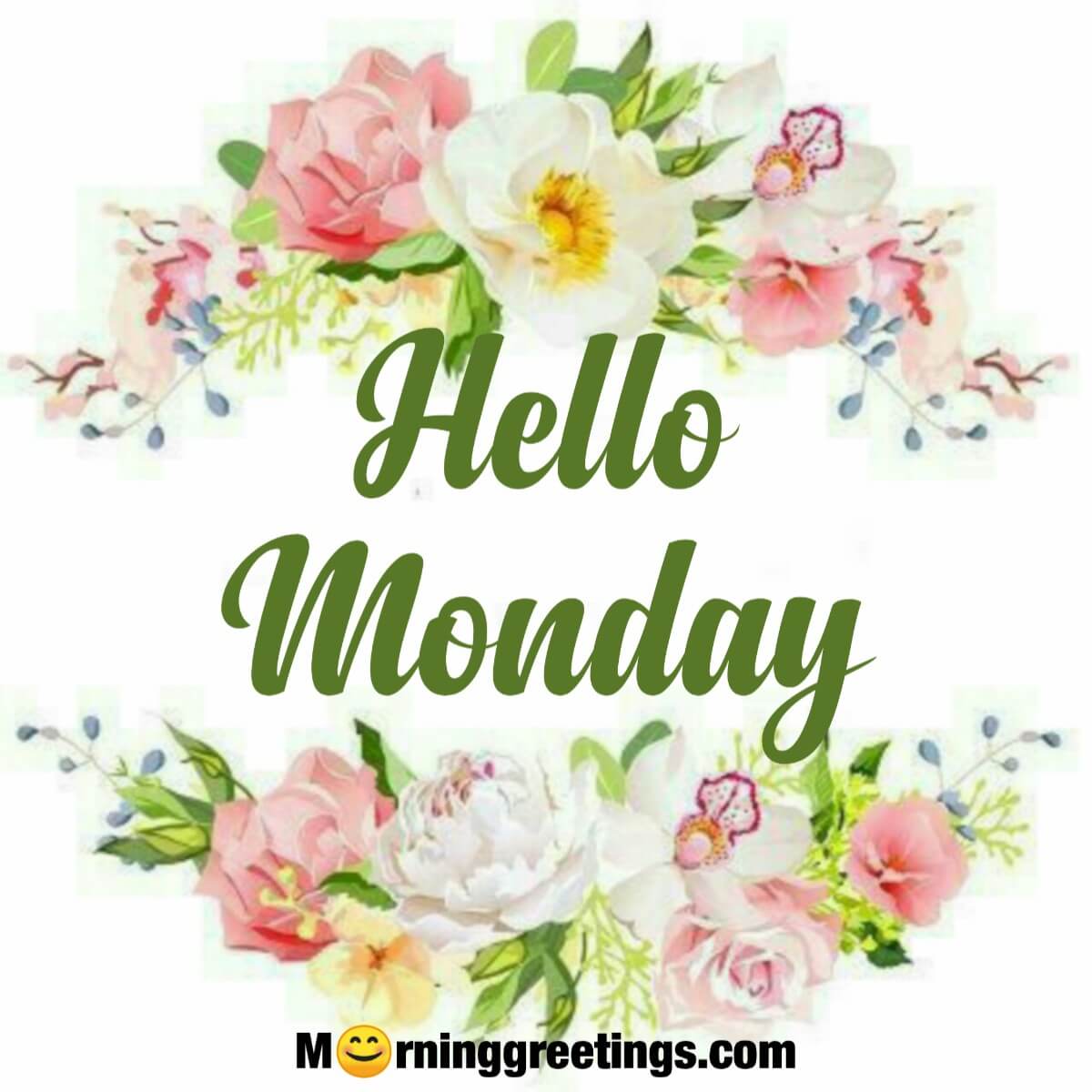 Hello Monday