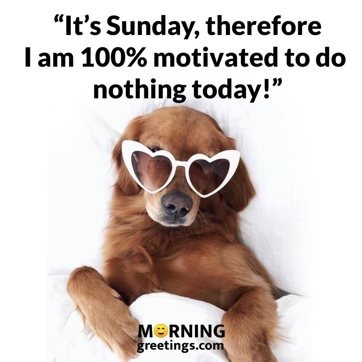 It’s Sunday, Therefore I Am 100% Motivated