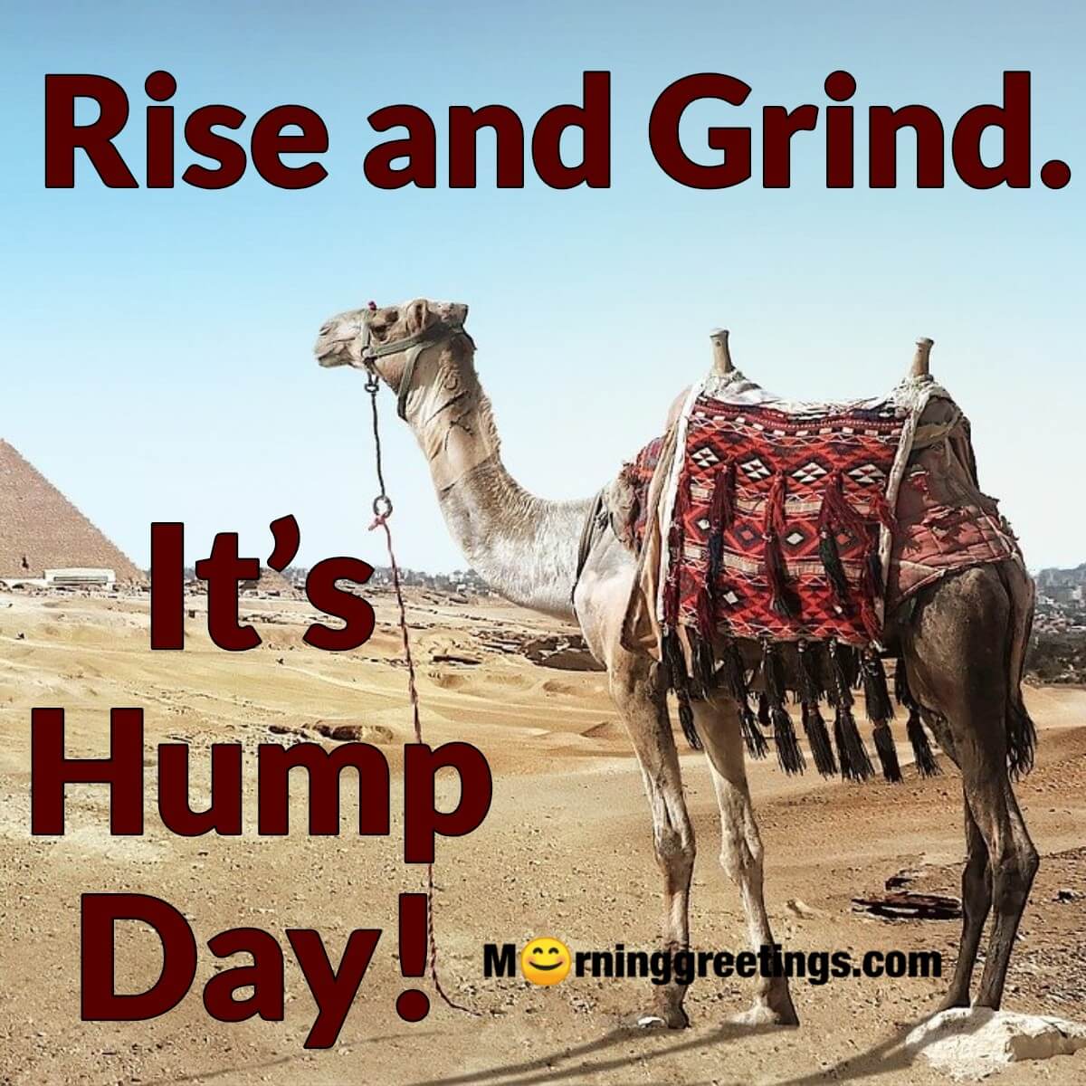 Rise And Grind It’s Hump Day