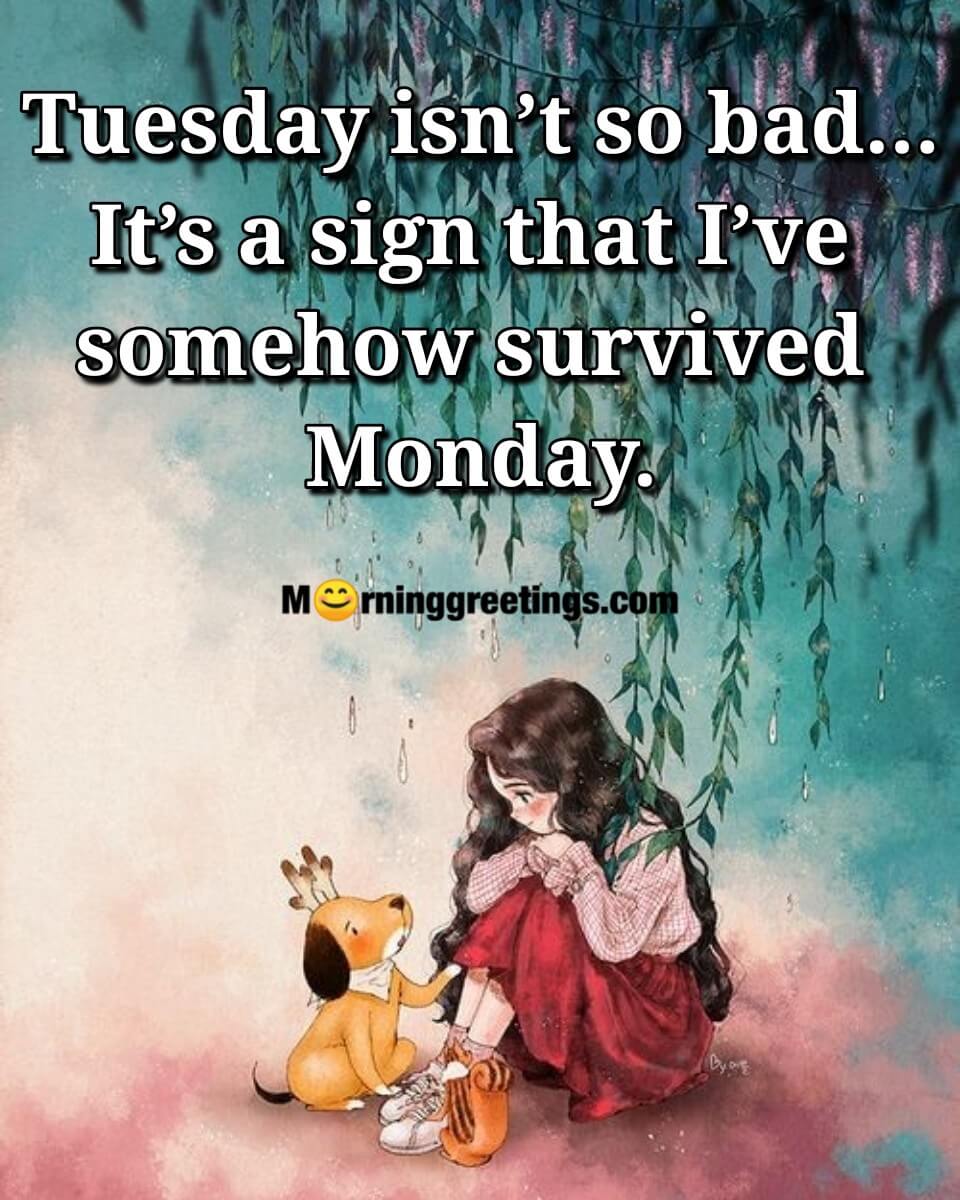 Tuesday Is A Sign That I’ve Survived Monday