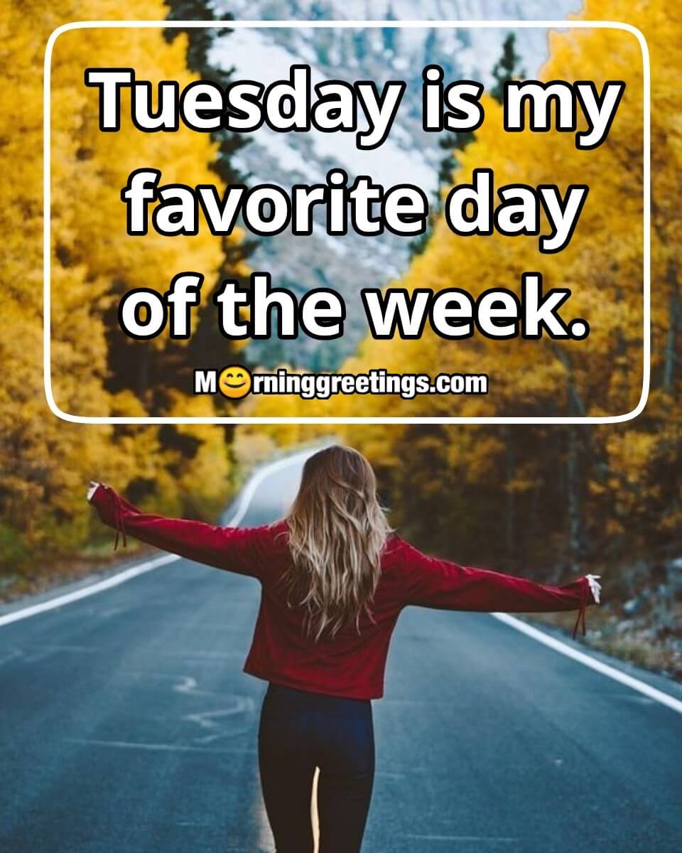 Tuesday Is My Favorite Day Of The Week