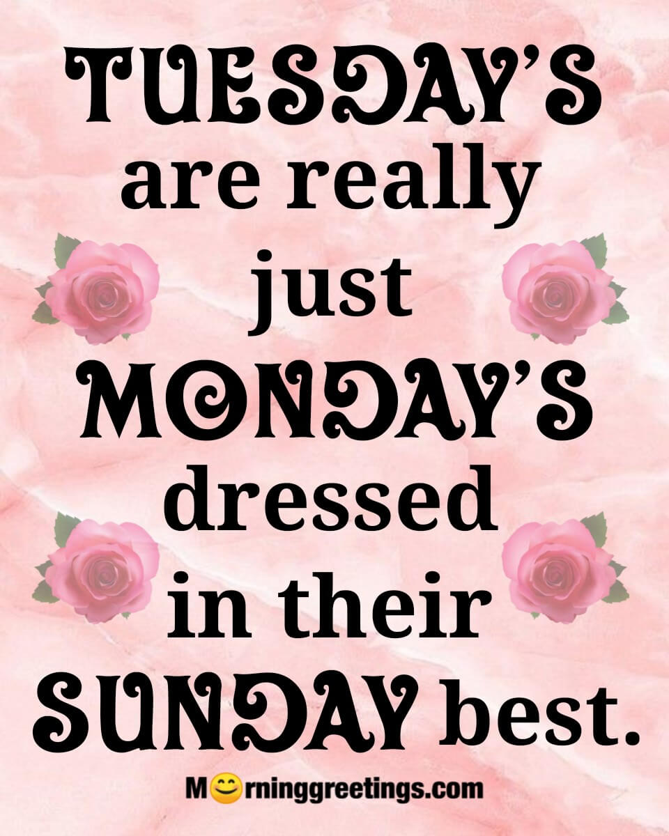 Tuesday’s Are Just Monday’s Dressed In Their Sunday Best