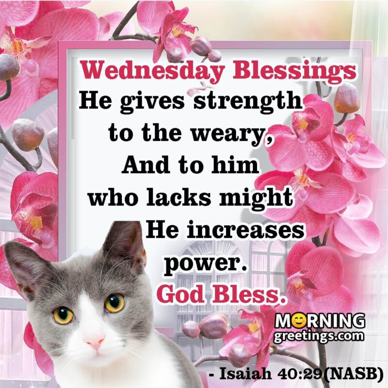 Wednesday Blessing