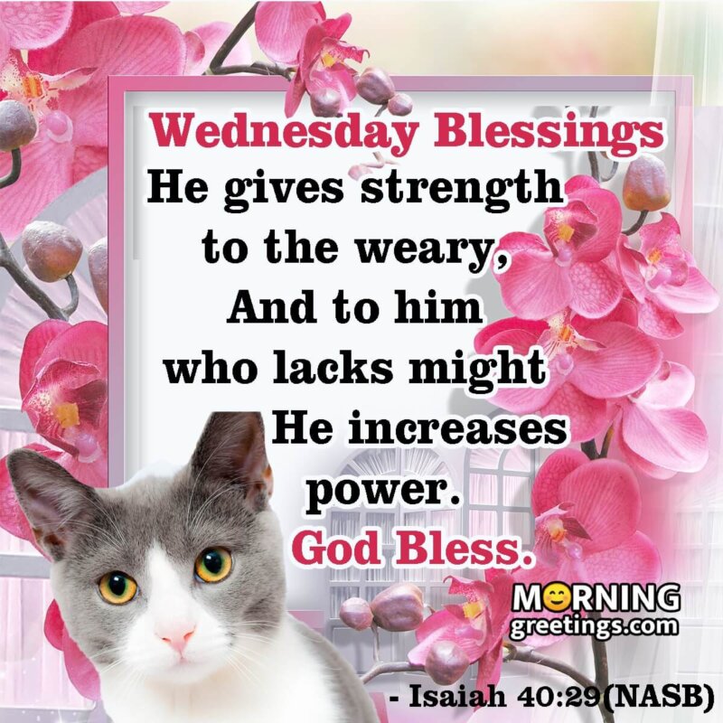 Animated wednesday blessings