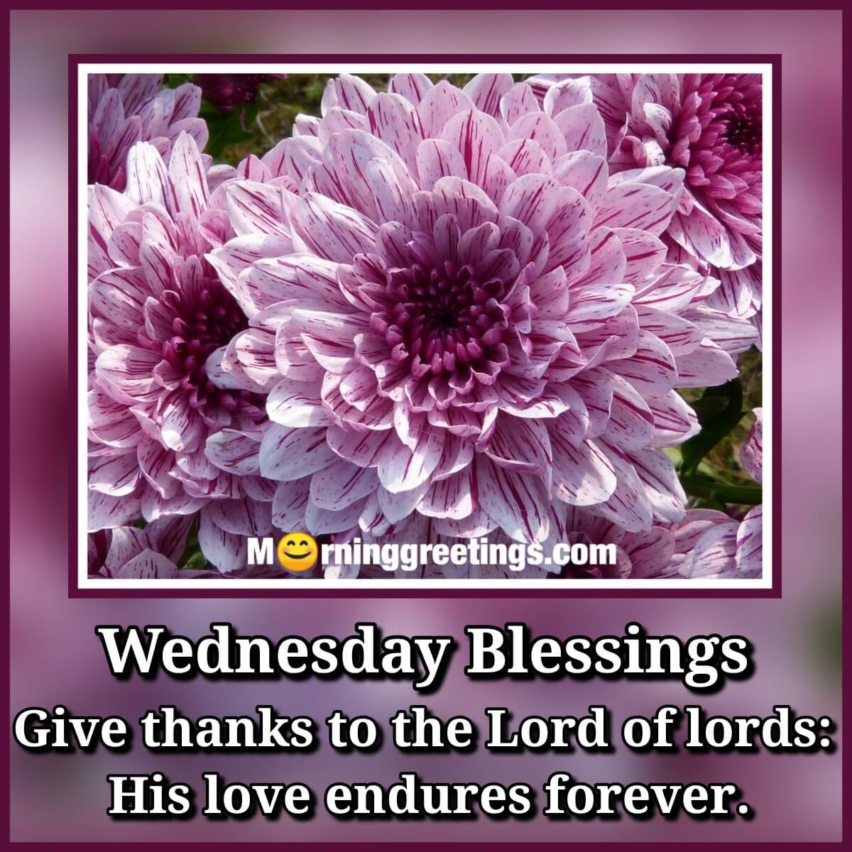 Wednesday Blessings Give Thanks To Lords Of Lords