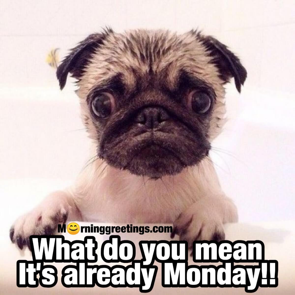 Good Morning Monday Images With Quotes Morning Greetings