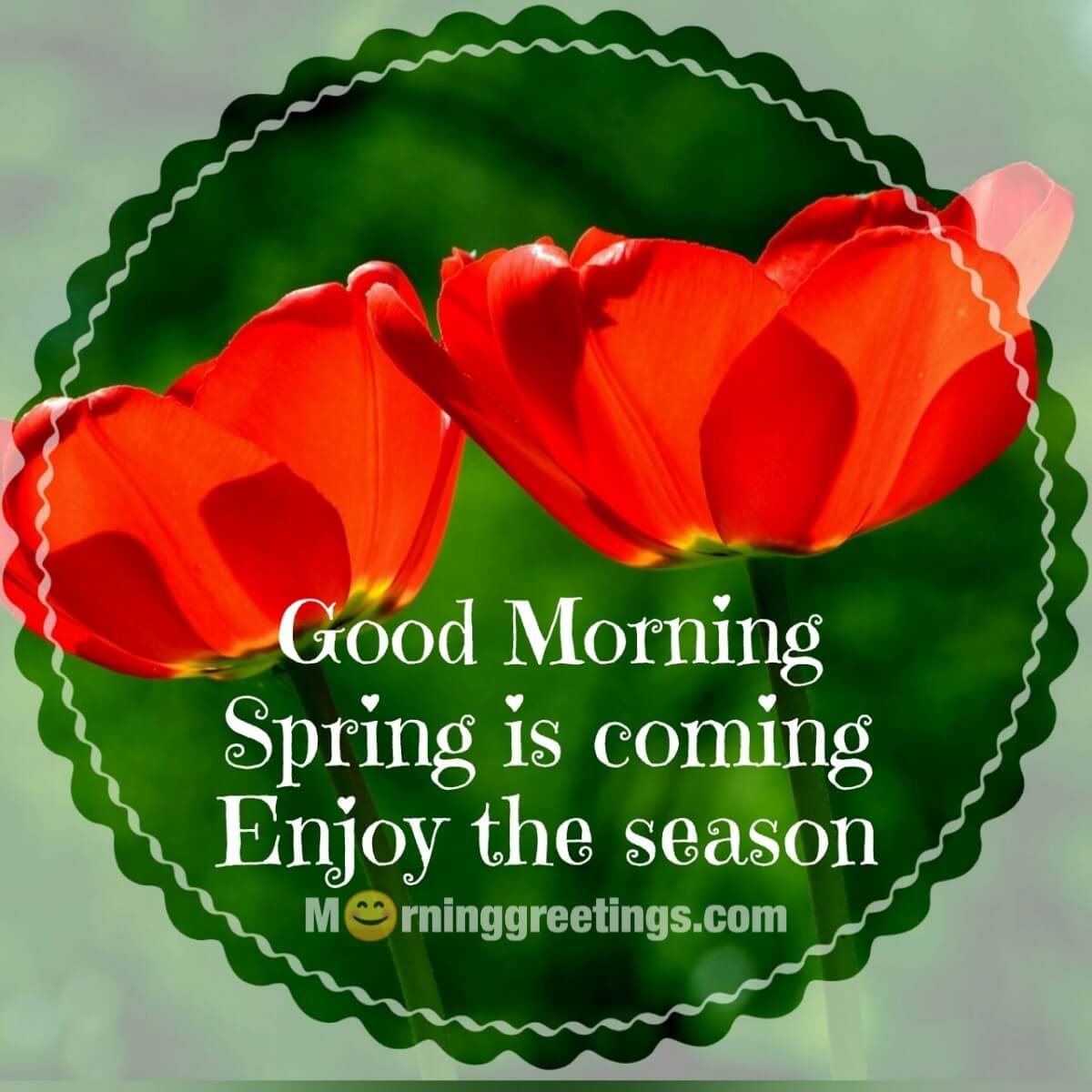 Good Morning Enjoy Spring