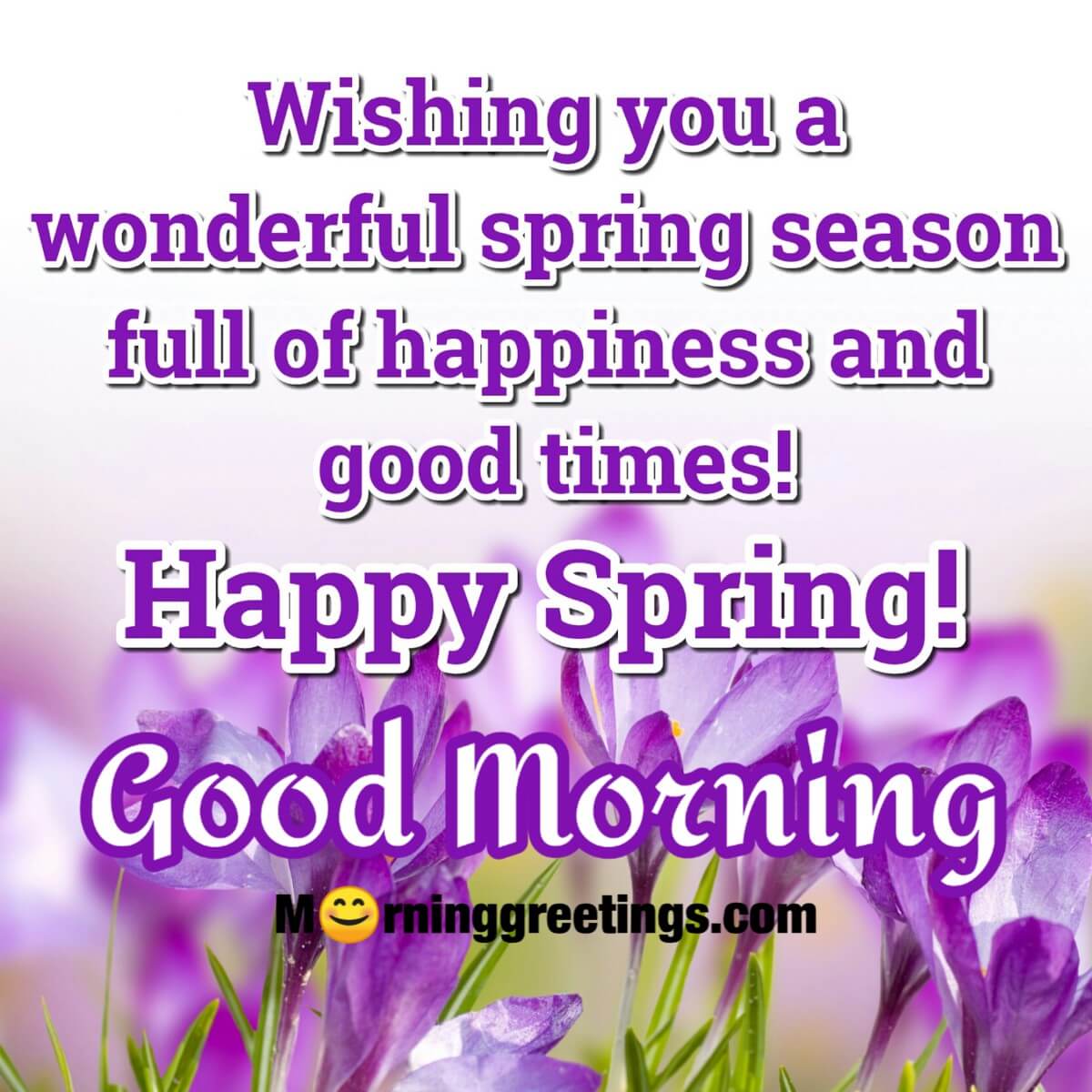 Good Morning Happy Spring Card