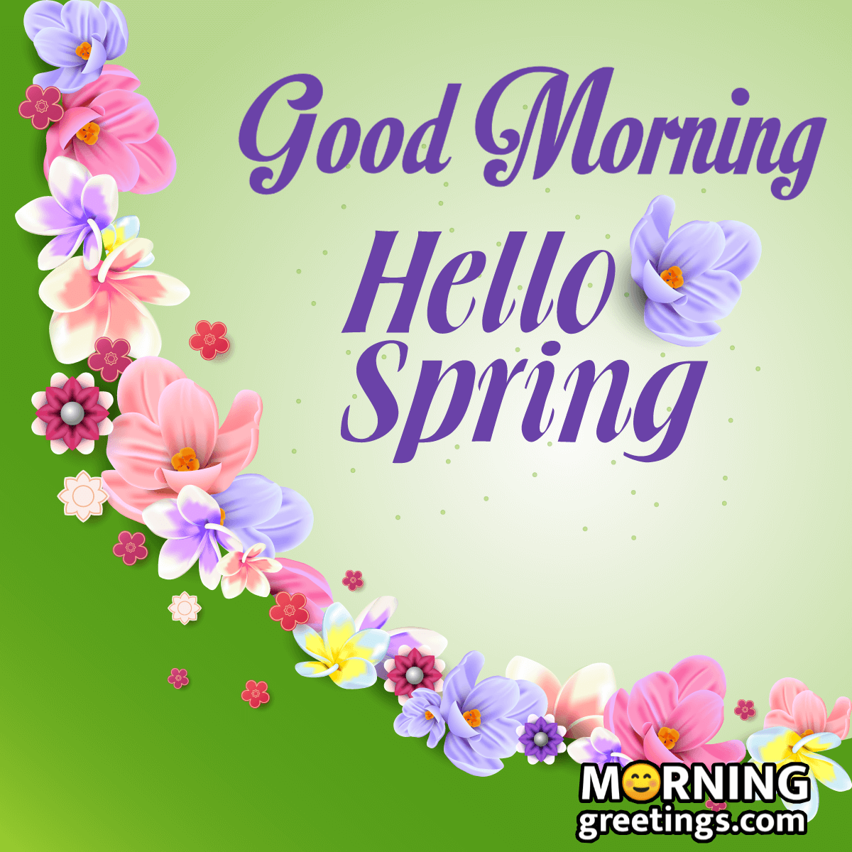 Good Morning Hello Spring