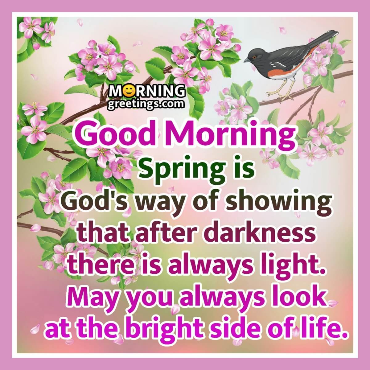 Good Morning Spring Blessings