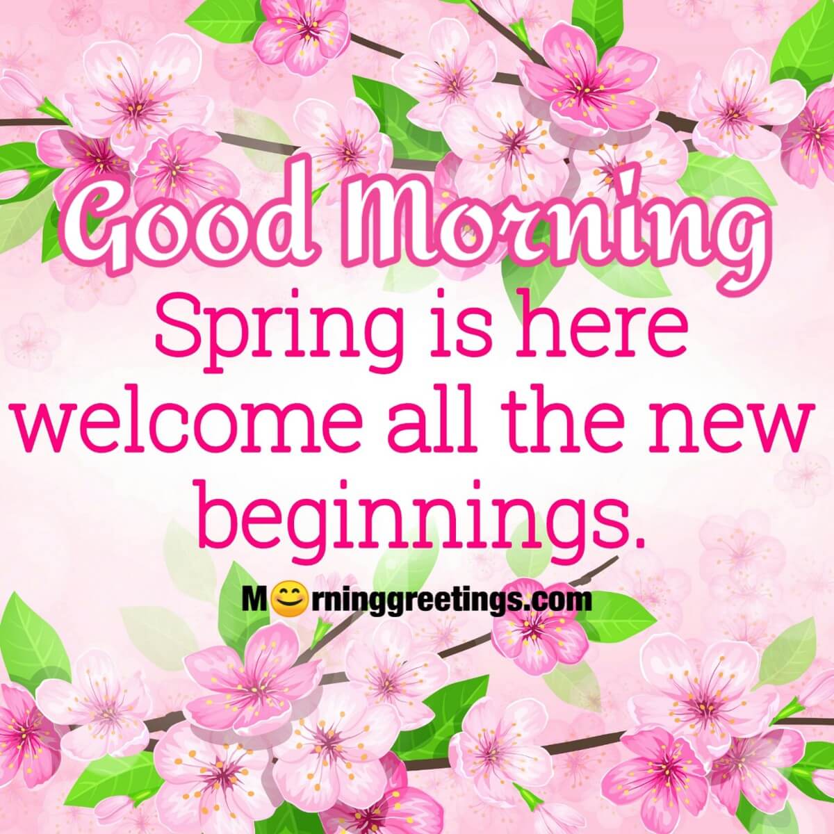 Good Morning Spring Is Here