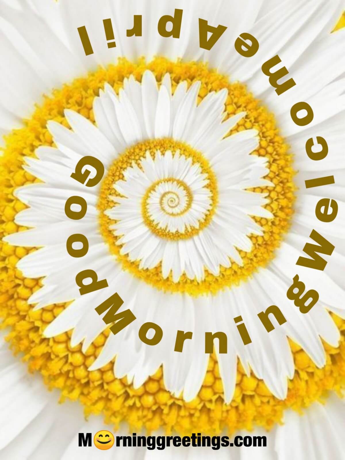 Good Morning Welcome April