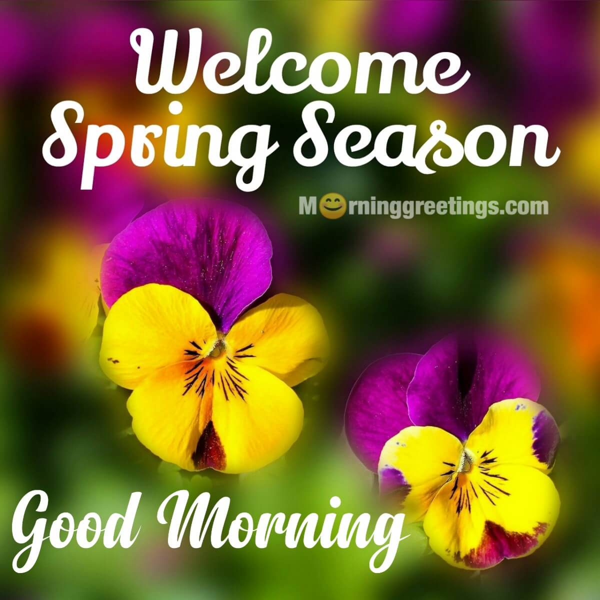 Good Morning Welcome Spring Season