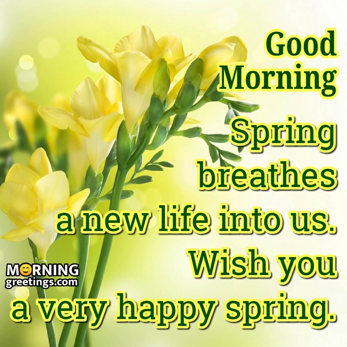 Good Morning Wish You A Very Happy Spring