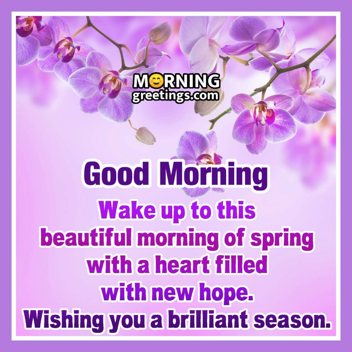 Good Morning Wishing You A Brilliant Spring