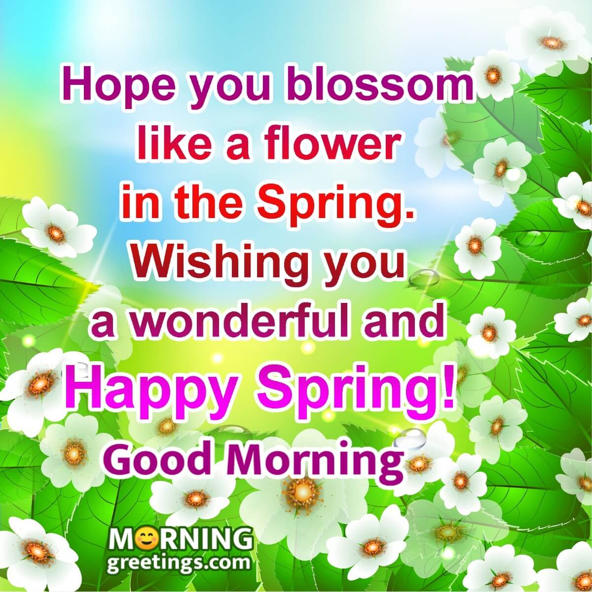 Good Morning Wonderful Happy Spring