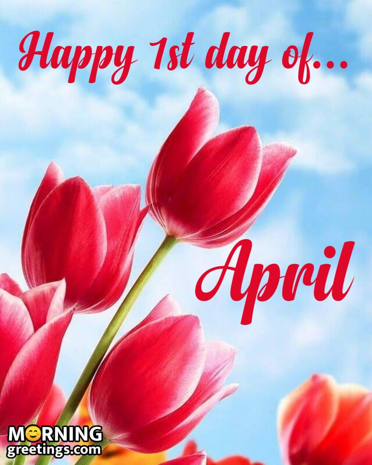 Happy 1st Day Of April