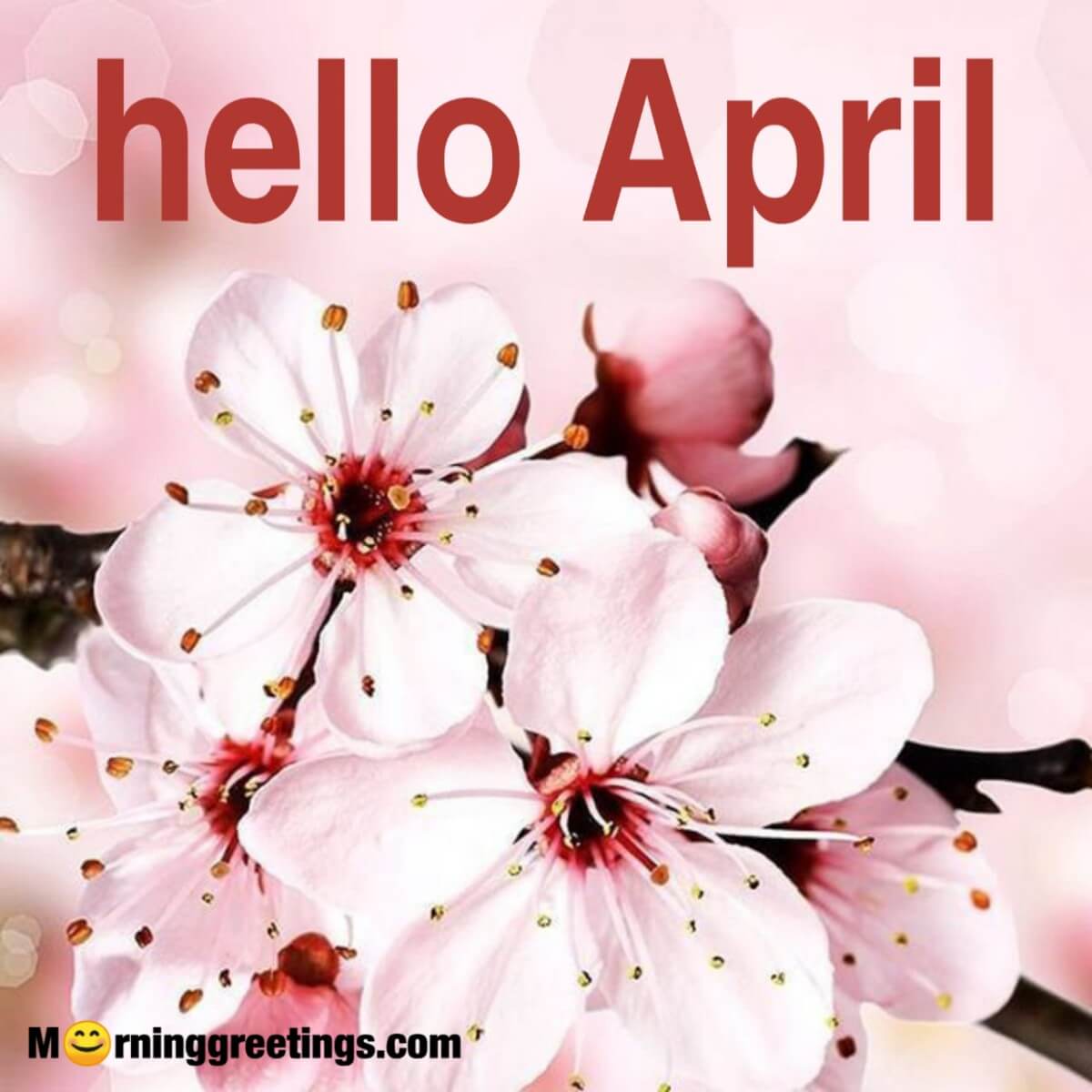 Hello April