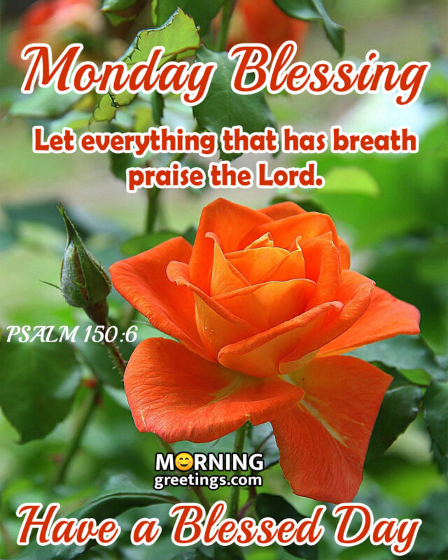 Monday Blessing Have A Blessed Day